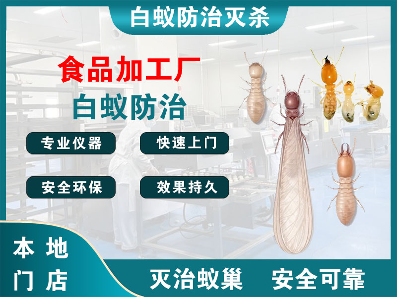 路桥区食品加工厂白蚁防治