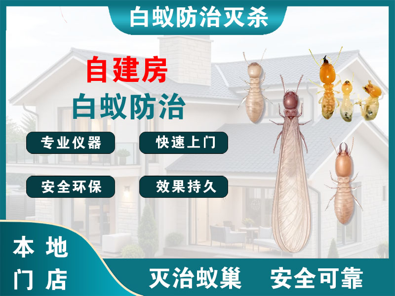 路桥区自建房白蚁防治