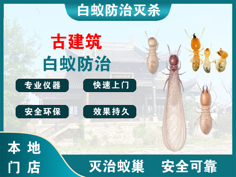 路桥区古建筑白蚁防治