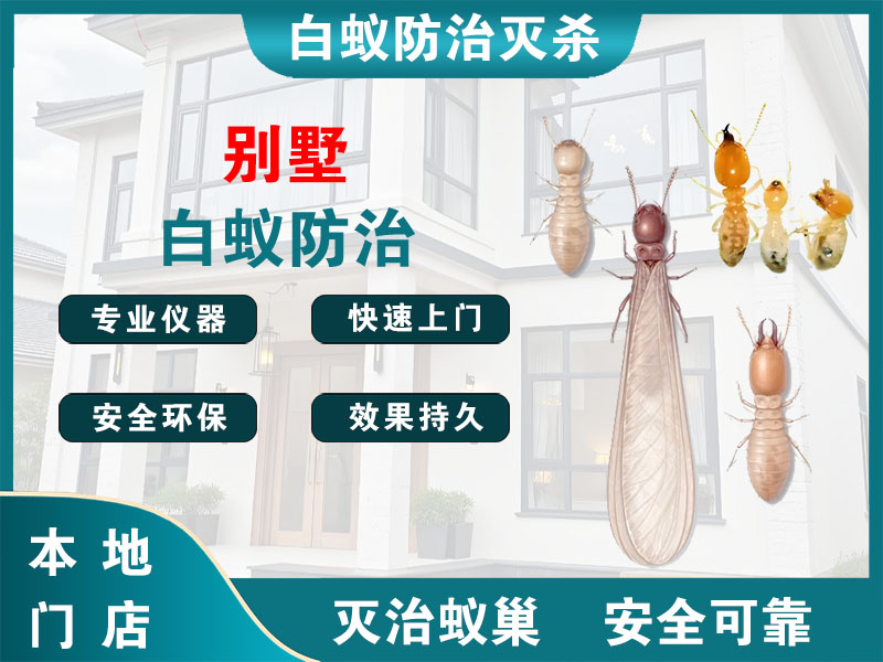 路桥区别墅白蚁防治